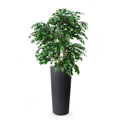 Planta semi-artificiala Ila, Ficus Exotica Lux Green - 210 cm